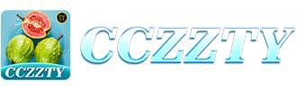 cczzty